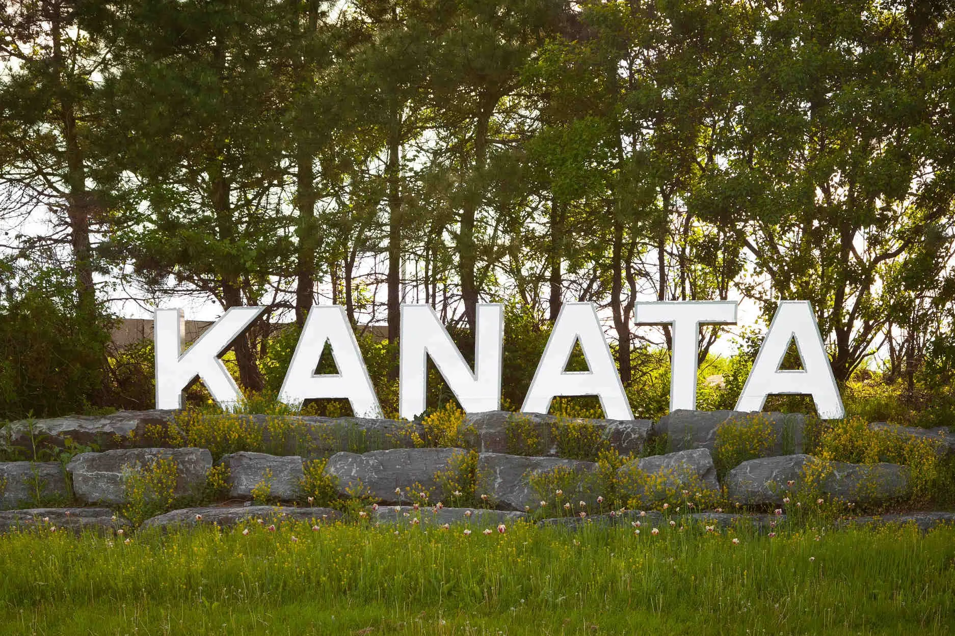 Custom LED and business signs in Kanata Ottawa - DSign LED